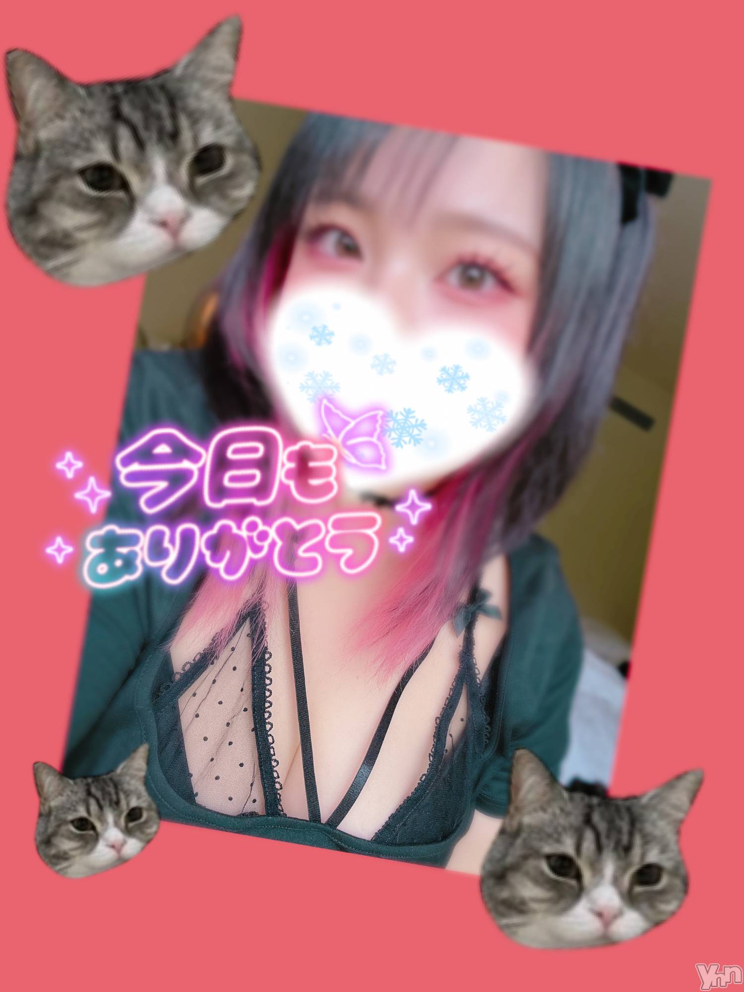 甲府デリヘル甲府人妻隊(コウフヒトヅマタイ)あん(31)の2026年1月21日写メブログ「世界一」