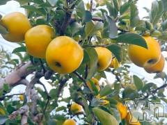 甲府デリヘル甲府人妻隊(コウフヒトヅマタイ) あん(31)の10月20日写メブログ「リフレッシュ」