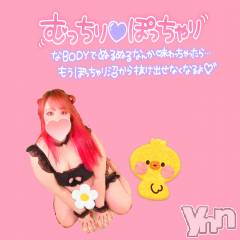 甲府デリヘル甲府人妻隊(コウフヒトヅマタイ) あん(31)の11月24日写メブログ「次枠15:30頃」