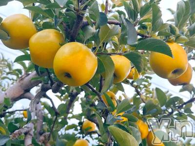 甲府デリヘル 甲府人妻隊(コウフヒトヅマタイ) あん(31)の10月20日写メブログ「リフレッシュ」