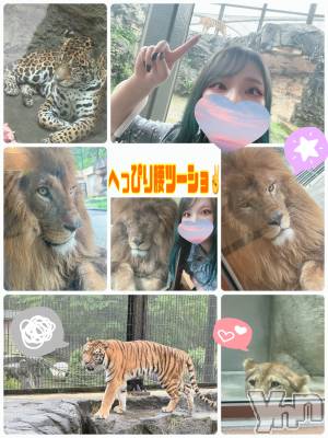 甲府デリヘル 甲府人妻隊(コウフヒトヅマタイ) あん(31)の5月26日写メブログ「へっぴり腰」