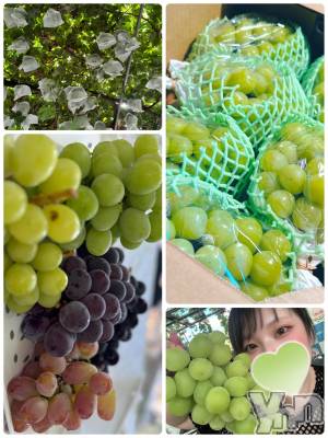 甲府デリヘル 甲府人妻隊(コウフヒトヅマタイ) あん(31)の9月12日写メブログ「お忍び山梨っ」