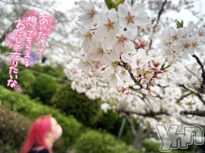 甲府デリヘル 甲府人妻隊(コウフヒトヅマタイ) あん(31)の4月10日写メブログ「はじめました」