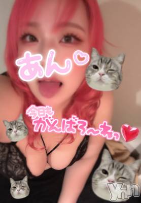 甲府デリヘル 甲府人妻隊(コウフヒトヅマタイ) あん(31)の7月14日写メブログ「次枠16:00頃」