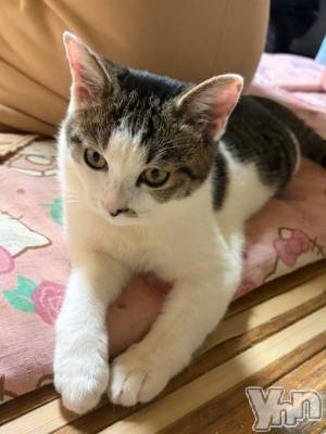 甲府デリヘル 甲府人妻隊(コウフヒトヅマタイ) きょうか(40)の2月23日写メブログ「(*´∇｀)ﾉ　おひさ～♪」