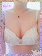 甲府デリヘル甲府人妻隊(コウフヒトヅマタイ) すみれ(42)の4月22日写メブログ「おはようございます(^^)」