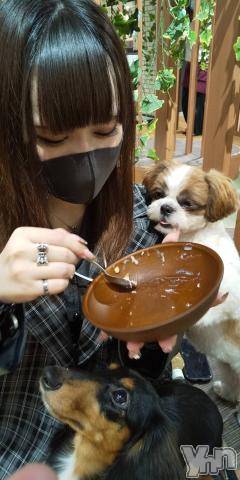 甲府ソープオレンジハウスぴこ(21)の2022年1月20日写メブログ「最近」