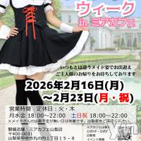 �ᥤ�ɥ��ե����ߥ����ե�����Ź ���ǥå��ᥤ�ɥ�������in�ߥ����ե�16��23��