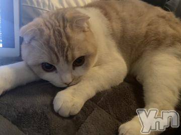 甲府ソープオレンジハウスむぎ(20)の2021年12月31日写メブログ「また会ってくれますか？」