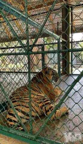 甲府ソープBARUBORA(バルボラ)なる(23)の2024年3月24日写メブログ「行くお❤️❤️」