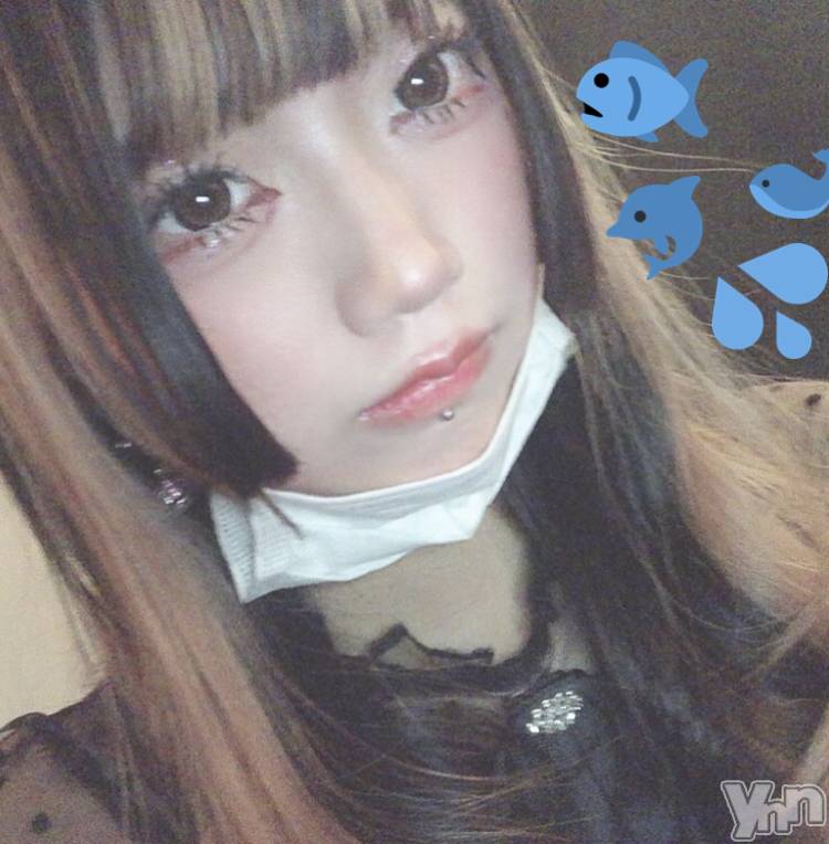 ���ܥ���Х��顦�����CLUB HEARTS(����֥ϡ���) �椢��2��4���̥�֥����֤��Ҥ����֤�Ǥ�💖🐹��