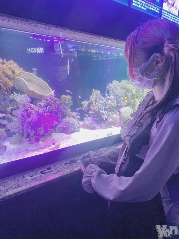 ���ܥ���Х��顦�����CLUB HEARTS(����֥ϡ���) �椢��7��19���̥�֥�����🐳🐠🐡🐙🐟🐬��