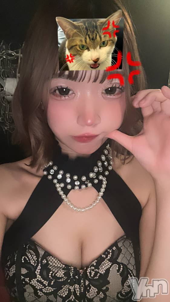 ���ܥ���Х��顦�����CLUB HEARTS(����֥ϡ���) �椢��4��3���̥�֥�����💖🐹��