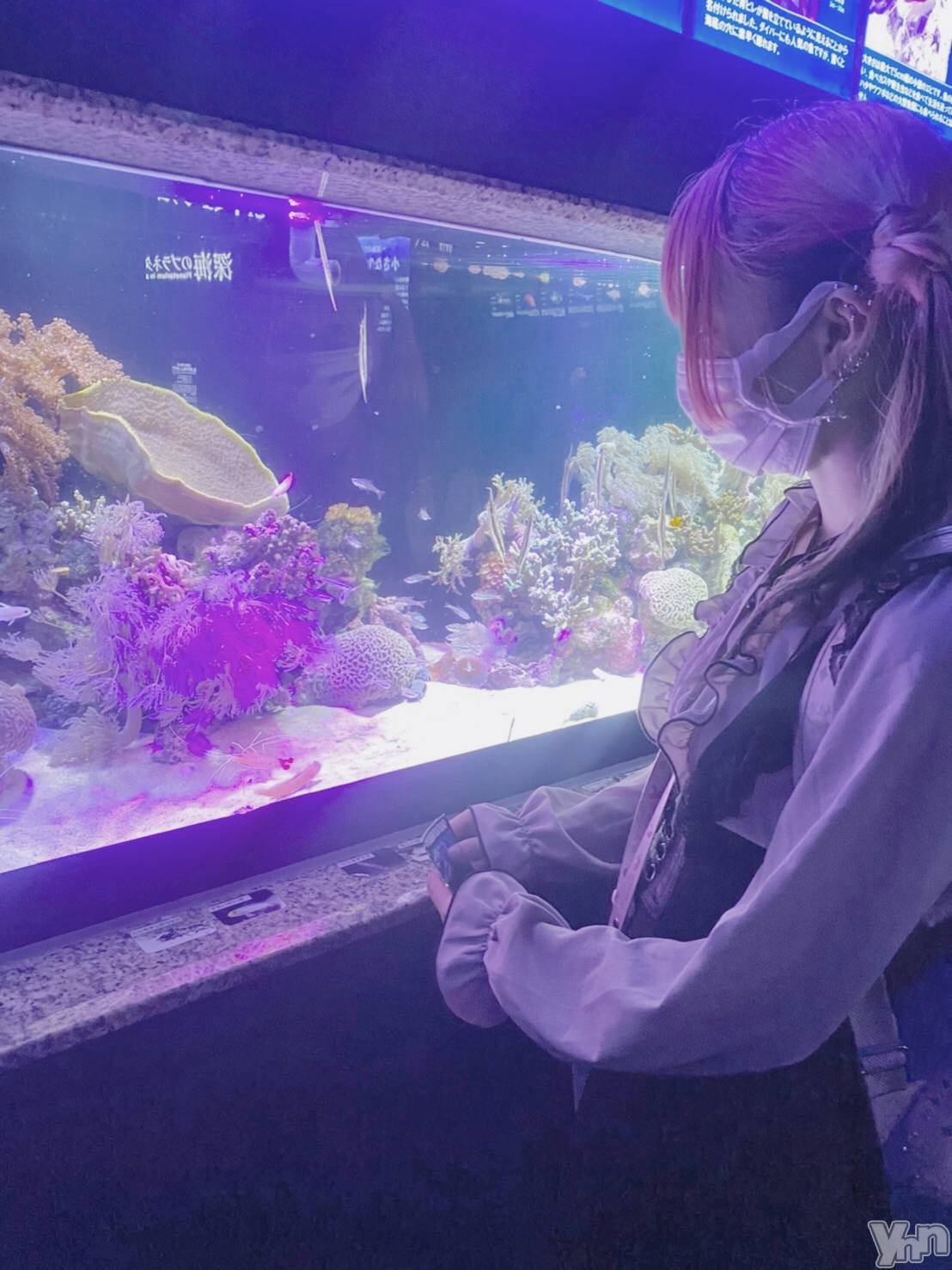 ���ܥ���Х��顦�����CLUB HEARTS(����֥ϡ���) ��2022ǯ7��19���̥�֥�����🐳🐠🐡🐙🐟🐬��