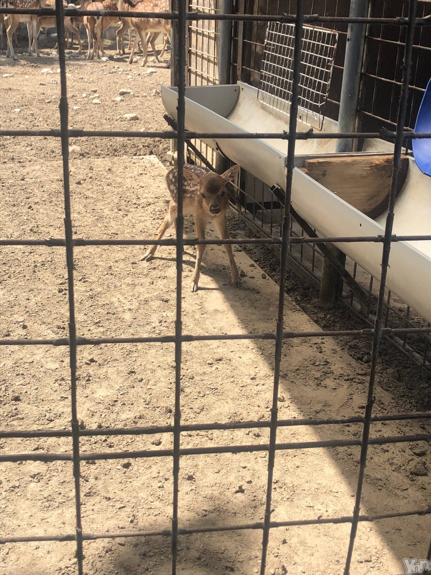 ���ܥ���Х��顦�����CLUB HEARTS(����֥ϡ���) ��2022ǯ7��23���̥�֥�����🦌��