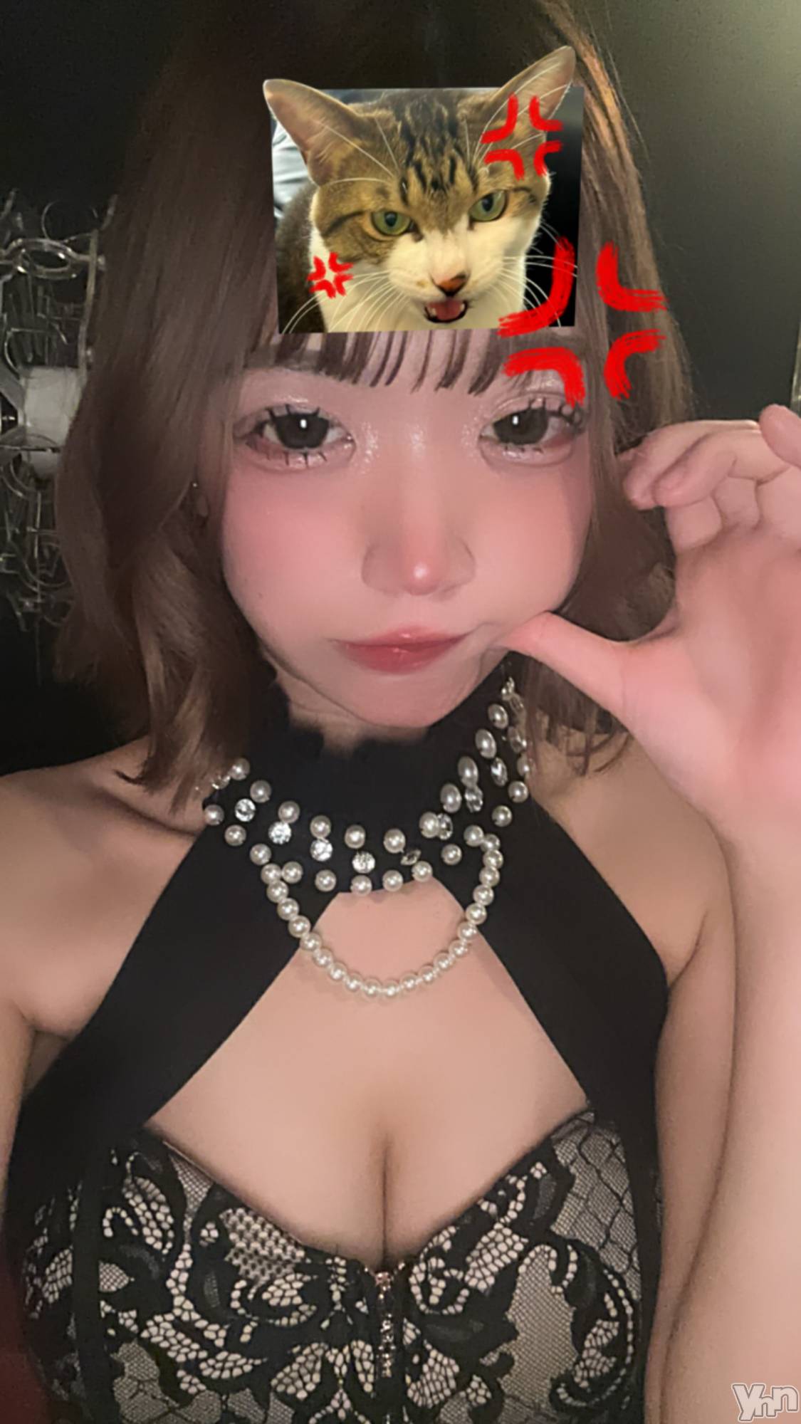 ���ܥ���Х��顦�����CLUB HEARTS(����֥ϡ���) ��2024ǯ4��3���̥�֥�����💖🐹��