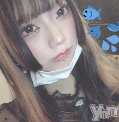 ���ܥ���Х��顦�����CLUB HEARTS(����֥ϡ���) �椢��2��4���̥�֥����֤��Ҥ����֤�Ǥ�💖🐹��