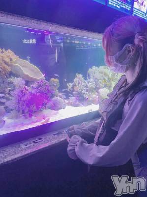 ���ܥ���Х��顦�����CLUB HEARTS(����֥ϡ���) �椢��7��19���̥�֥�����🐳🐠🐡🐙🐟🐬��