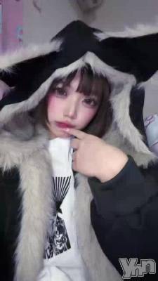 ������Ρ�����