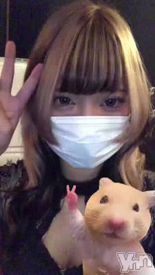 ✌️🐹✌️🐹