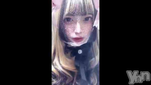 ��🐹🐹🐹��