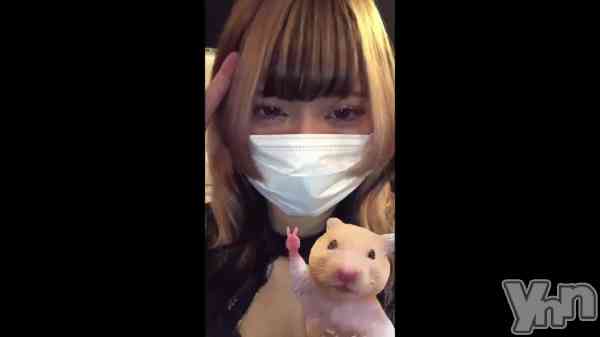 ��✌️🐹✌️🐹��