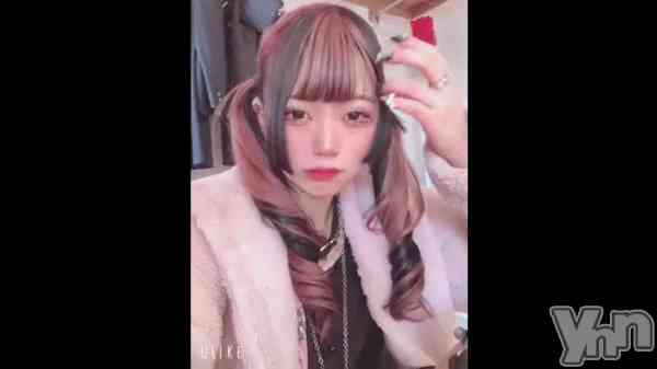 ��🐹✌️��