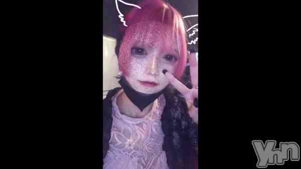 �� 🐱🐱��