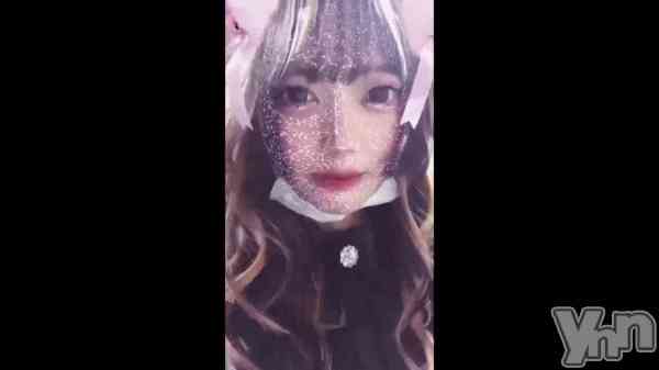 ��🐹🎀��