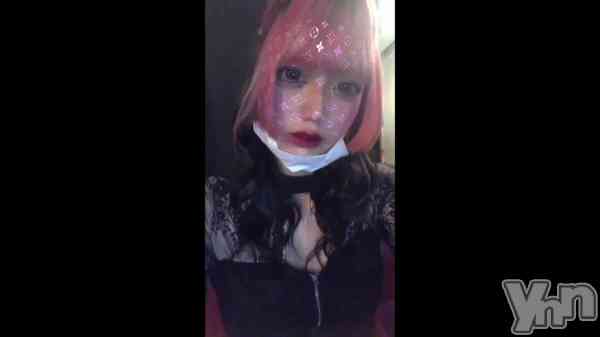 ��🐹🐹🐹��