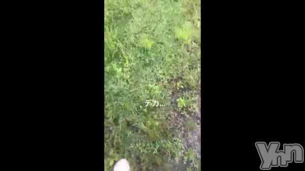 ��🦢🦢🦢🦢��