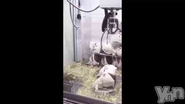 ��🧸🧸🧸��