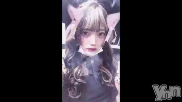 ��🐱💖��