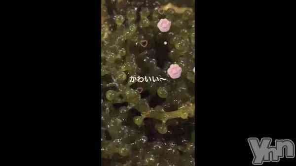 ��🏖🐠🍇��