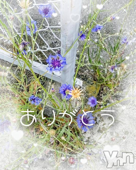 甲府デリヘル甲府人妻隊(コウフヒトヅマタイ)みよこ(52)の2025年5月12日写メブログ「嬉しかった(((o(*ﾟ∀ﾟ*)o)))」