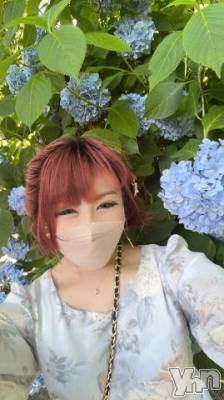 甲府ソープ 石蹄(セキテイ) いちか(30)の6月27日写メブログ「[お題]from:花屋さん」