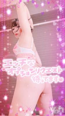 甲府ソープ 石蹄(セキテイ) いちか(30)の7月3日写メブログ「犬?」