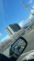 ܥХ顦BRILLAR(֥ꥸ㡼) ߥ(18)330̥֥֤🌸*