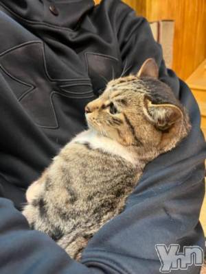 甲府デリヘル 山梨デリヘル　絆　甲府店(ヤマナシデリヘル　キズナ　コウフテン) ゆいみ(21)の1月2日写メブログ「久しぶりの出勤です!」