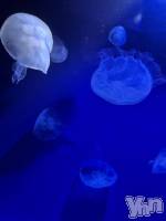 🍊14:30～本指名お兄様🍊