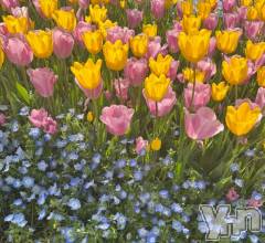 甲府ソープオレンジハウス くりす(22)の5月27日写メブログ「🕊️5.27  part① 3名のお兄様🕊️」