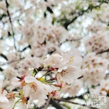 甲府デリヘル LOVE CLOVER(ラブクローバー) ちさと(25)の4月4日写メブログ「よろしくお願いします??」