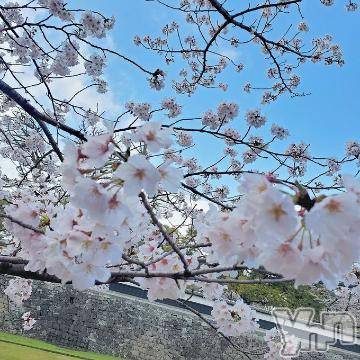 甲府デリヘル LOVE CLOVER(ラブクローバー) ちさと(25)の4月5日写メブログ「こんにちは??」