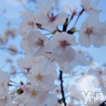 甲府デリヘル LOVE CLOVER(ラブクローバー) ちさと(25)の4月7日写メブログ「おはようございます??」