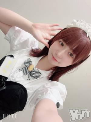 ˨����20�͡� ǯ��20�� / ��Ĺ160cm