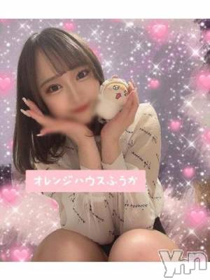 甲府ソープ 石蹄(セキテイ) ふうか(19)の4月15日写メブログ「🐹💨🐹💨🐹💨🐹💨🐹💨」