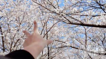 甲府デリヘル甲府人妻隊(コウフヒトヅマタイ) まさき(32)の4月16日写メブログ「出勤すーるよ！」