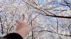 甲府デリヘル甲府人妻隊(コウフヒトヅマタイ) まさき(32)の4月16日写メブログ「出勤すーるよ！」