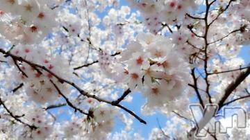 甲府デリヘル 甲府人妻隊(コウフヒトヅマタイ) まさき(32)の4月11日写メブログ「出勤しまーす！」