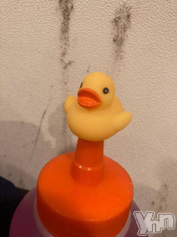 甲府ソープオレンジハウス えり(20)の10月9日写メブログ「初日お礼💌」